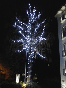 Luci natale albero 